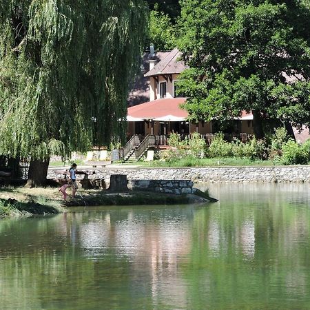 Hotel Sikfokut Noszvaj Dış mekan fotoğraf